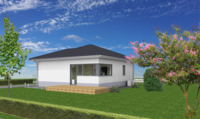 Tiny-House 64 Walmdach
